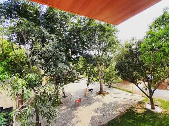 10GULMOHAR By IDEASHACKS in Bandhwari