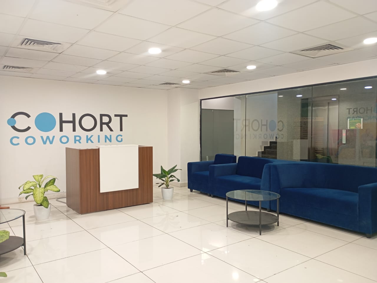 Cohort co-working