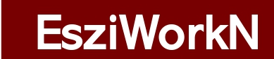 EsziWorkN